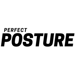 Perfect Posture